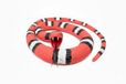 SWAXIGON Slang – Realistisch nep rubberen slangenspeelgoed – Kleine dierfiguren van plastic – Voor kinderen vanaf 3 jaar – Cadeau – 90 cm (Rood)