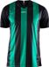 Craft Progress Stripe Shirt Korte Mouw Heren - Zwart / Groen | Maat: XL