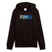 PUMA ESS LOGO LAB Hoodie FL B, Puma Zwart, 140