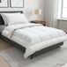 Ensemble couette et oreiller pour l'été