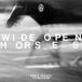 Wide James Vincent McMorrow Wide Open, Horses