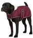 Diego & Louna Teddy Manteau pour chien Rose 46 cm