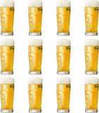 Grolsch Bierglas Master 300ml - 12 stuks