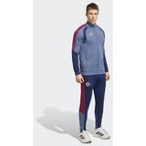 ADIDAS PERFORMANCE Survêtement 'FC Bayern München' bleu / opale / or / rouge