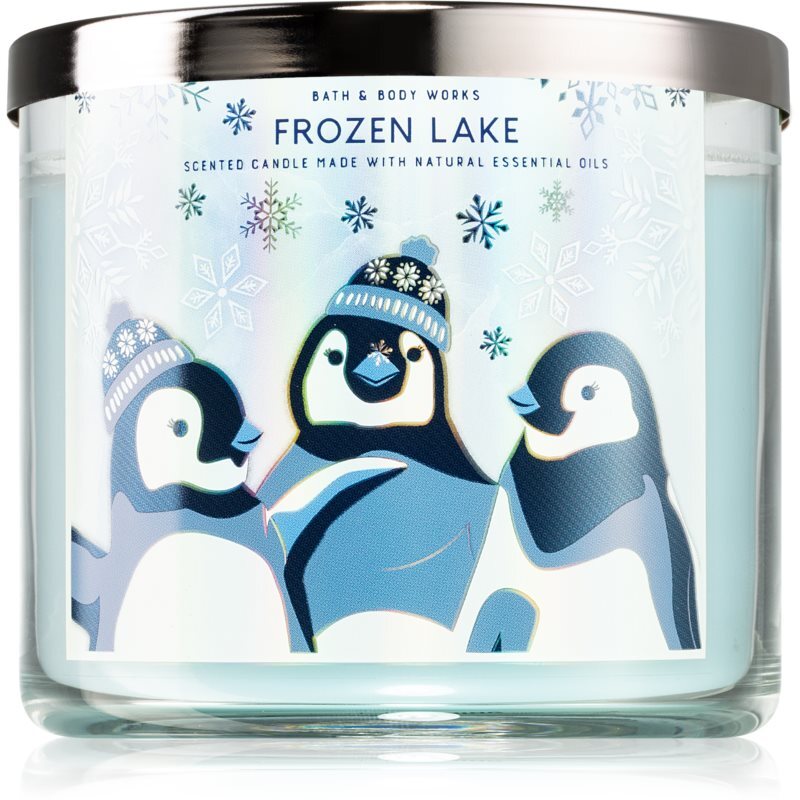 Bath & Body Works Frozen Lake