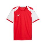 Puma Heren Teamfinal26 gebreide jersey truien (Pack van 1)