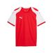 Puma Heren Teamfinal26 gebreide jersey truien (Pack van 1)
