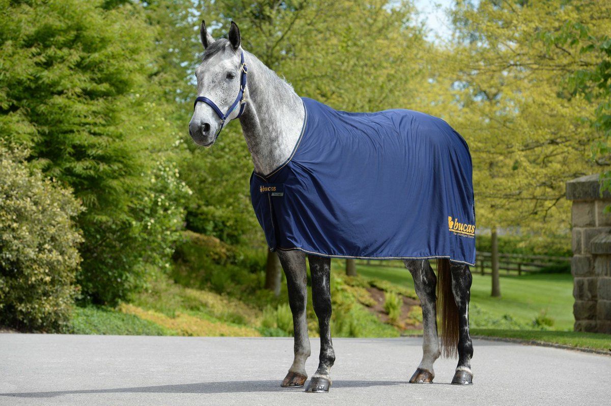 Bucas Prize Cooler Promo Deken 213 Navy / Goud