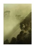 Komar Muurafbeelding | Golden Light | Poster, afbeelding, woonkamer, slaapkamer, decoratie, kunstdruk | zonder lijst | PSH100-50x70 | Grootte: 50 x 70 cm (breedte x hoogte)