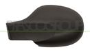 PRASCO Abdeckung, Außenspiegel RN3067404 links, | Compatibel met: RENAULT TWINGO II