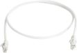 Telegärtner 100008902 Câble réseau RJ45, câble de brassage CAT 6 7,5 m Blanc Ignifuge, avec passe-fil anti-pli 1 pièce(s)