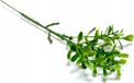 Buxus kunststof tak, decoratie voor paasmand, 20 cm
