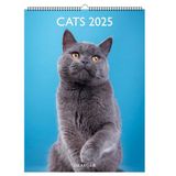 Decoratieve wandkalender, 29 x 39 cm, 2025, januari tot december 2025, katten