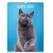 Decoratieve wandkalender, 29 x 39 cm, 2025, januari tot december 2025, katten