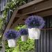 Plantes artificielles sans marque, 4 pièces, violettes