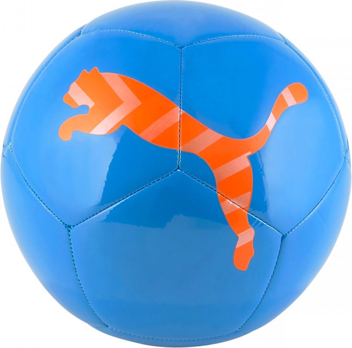 PUMA Icon Voetbal