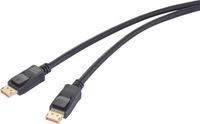 Renkforce RF-6562820 DisplayPort-kabel Zwart 2 m
