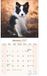 Avonside Border Collie Kalender 2027 Wandkalender