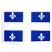 AZ FLAG Vlag Quebec 45x30 cm