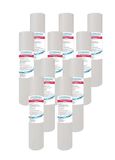 Filtri Acqua Italia Waterfilterpatroon van polypropyleen, 10 inch, micron 1 voor OSMOSI, waterreiniger, 10 stuks