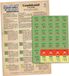 Academy Games Conflict of Heroes: Guadalcanal - Army Expansion