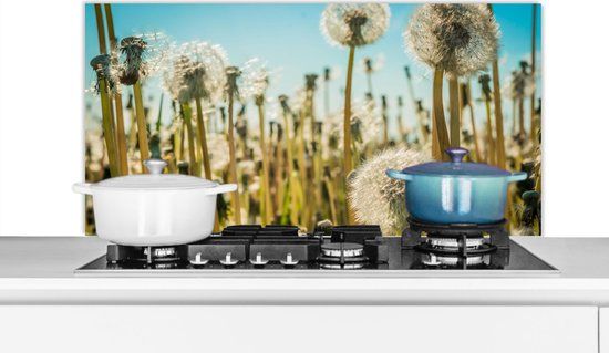 KitchenYeah Spatscherm keuken 100x50 cm - Kookplaat achterwand Bloemen - Paardenbloem - Grasveld - Muurbeschermer - Spatwand fornuis - Hoogwaardig aluminium