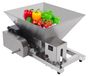 Réducteur de fruits - Broyeur de raisins - 60 Watt - 4 litres - Automatique - Antiadhésif - Argent