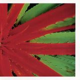 This Jejune - This Afternoon Malady (2 LP)