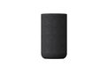 Sony SA-RS5 - Draadloze Achterspeakers - Zwart