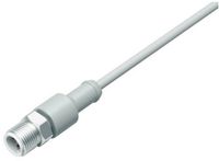 Binder 77 3729 0000 40908-0200 Sensor/actuator connector, M12 Connector, Straight, Grey, 1 pc