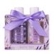 Accentra - Doucheset dames cadeauset LAVENDEL in mooie geschenkdoos - 2-delige verzorgingsset met douchegel en bodylotion - Wellness cadeauset voor verjaardagen, Valentijnsdag, Moederdag & Kerstmis