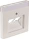 Busch-Jaeger Future Linear Centraalplaat - Telefoon/Data - 2 x 8-polig - Afdekking voor UAE-datacontactdozen - Schuine Uitvoer - IP20 - Kunststof Gelakt - Mat Wit