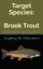 Target Brook Trout: Mastering the Art of Brook Trout Fishing