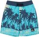 Quiksilver Everyday Printed Volley 13´´ Zwembroek Blauw 4 Years Jongen