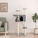 VidaXL Arbre à chat avec poteaux à gratter en sisal 143 cm gris clair