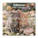 Grupo Kittens Kalender 2027