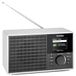 TechniSat Viola 305 IR Internetradio met DAB+, FM | Bluetooth audiostreaming, 8 watt (RMS), dimbaar 2,4 inch kleurendisplay, AUX-in, hoofdtelefoonaansluiting, zilver