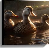 Merkloos / Sans marque Take your time Canvas - Dieren - Eenden - Water - Bruin - 40x40 cm Foto op Canvas Schilderij (Wanddecoratie op Canvas)