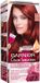 Garnier Color Sensation Permanente Crème Haarkleur 6.60 Rouge Intense