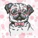 Diamond Dotz Hug A Pug Diamond Painting 43x43 cm