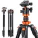 K&F Concept Camera Statief, 158cm Aluminium Reisstatief met Monopod, Compact Statief met Balhoofd en Vrijgaveplaat voor DSLR Camera Canon Nikon Sony K254A1+BH-28L(SA254M1)