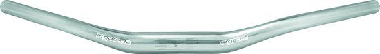 Ergotec Trekking / E-bike Riser Handlebar - 31.8mm - 620mm - Silver