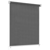 Store extérieur 65(L)x230(H) cm anthracite