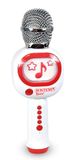 BONTEMPI - Microphone sans fil avec haut-parleur fonction karaoké effet changeur libre contrôle du volume et sélection de chansons fente micro SD USB Type-C 80x240x65 mm