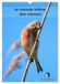 Le Calvendo Le monde intime des oiseaux (Calendrier mural 2027 DIN A3 horizontal)