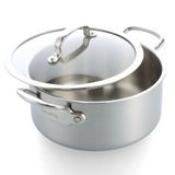 GreenPan Premier 5PLY Braadpan RVS Ongecoat met Glazen Deksel, 24 cm/4,91 L, 5-Laags, Inductiegeschikt, Ovenbestendig 250 °C, Vaatwasmachinebestendig, Zilver