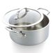 GreenPan Premier 5PLY Braadpan RVS Ongecoat met Glazen Deksel, 24 cm/4,91 L, 5-Laags, Inductiegeschikt, Ovenbestendig 250 °C, Vaatwasmachinebestendig, Zilver