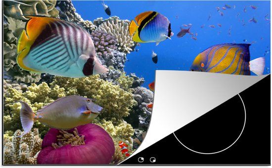 KitchenYeah® Inductie beschermer 77x51 cm - Vissen Getty - Inductie kookplaat accessoire