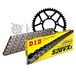 Kettingset DID Kettingset staal 520VX3 / 116 klinkslot voor Hyosung GV Aguila Classic 250 cc Bj. 2001-2014