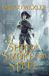 Ship of Smoke and Steel: The Wells of Sorcery, Book One: 1